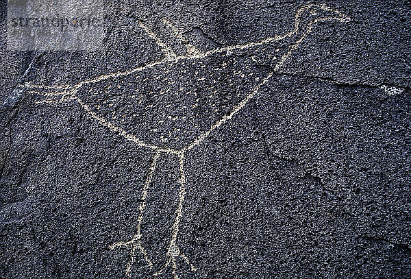 Petroglyphen