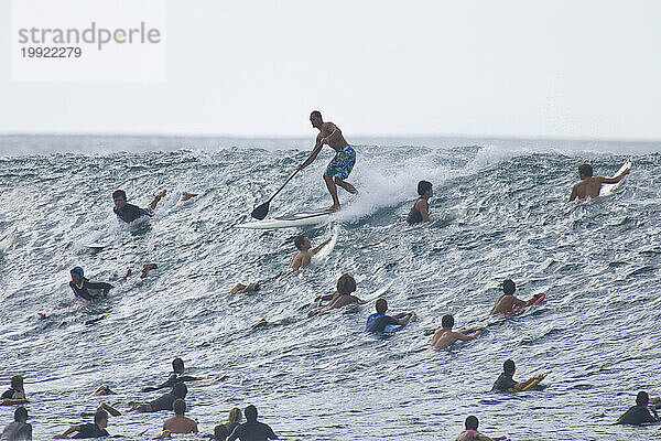 Gruppe von Menschen im Wasser vor der Nordküste von Oahub  während ein Mann Stand-Up-Paddle-Surfen betreibt 02.11.08.