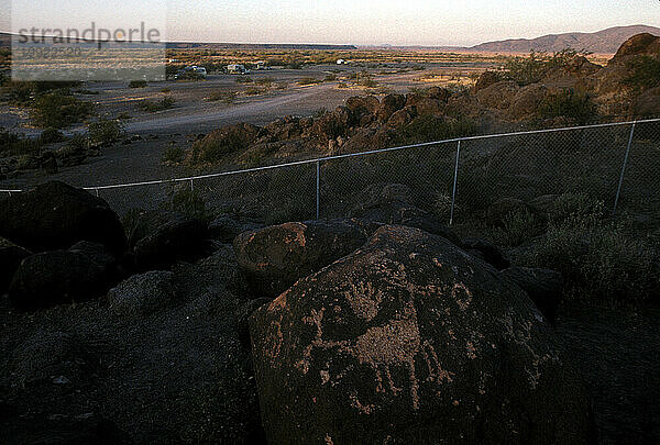 Arizona-Wüste