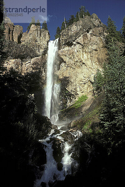 Colorado Rockies