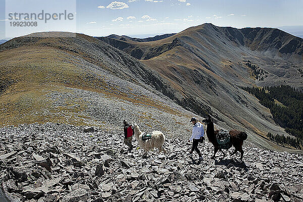 Lama-Trekking im Norden von New Mexico.