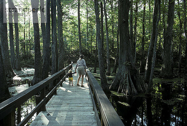 Natchez Trace