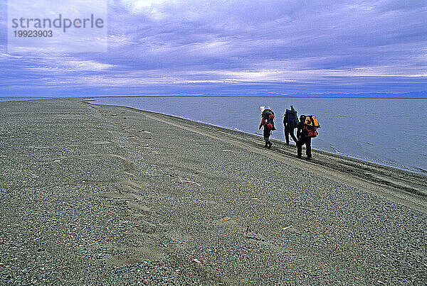 Drei Männer wandern auf Arey Island  Arctic National Wildlife Refuge  Alaska.