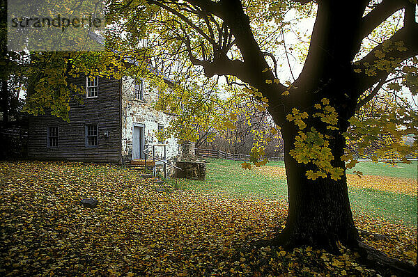 Herbstlaub  Delaware.