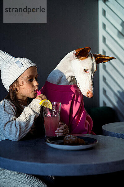 Kindermädchen in einem Café mit einem Hund. Freundschaft zwischen einem Kind und einem Hund.