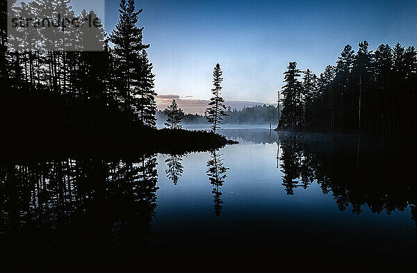 Kiefern spiegeln sich im ruhigen Wasser des Teiches zur blauen Stunde  Maine