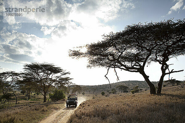 Safari-Jeep fährt durch Lewa Wilderness  Kenia.