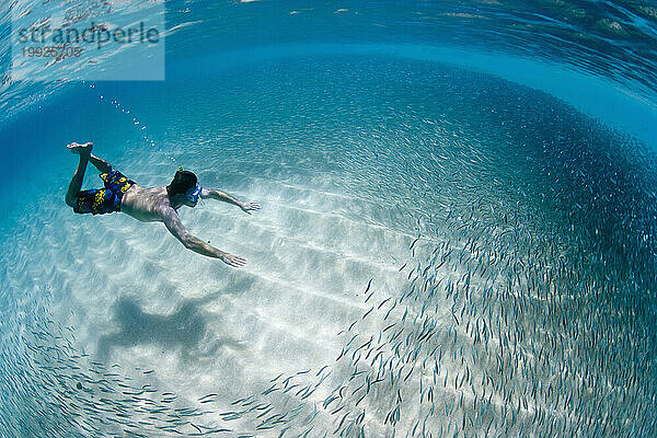 Ein Mann schwimmt unter Wasser in Hawaii mit einem großen Fischschwarm.