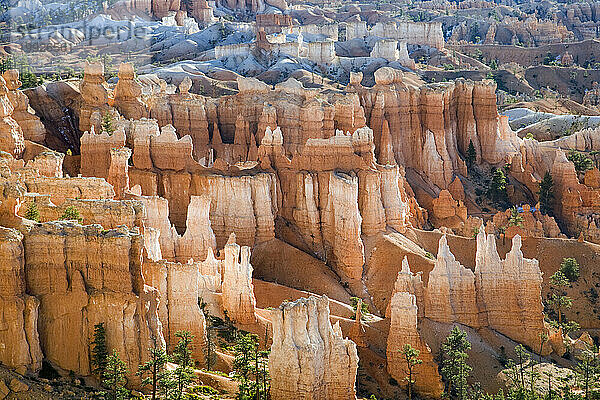 Bryce Amphitheatre vom Rim Trail in der Nähe von Sunset Point im Bryce-Canyon-Nationalpark  Utah aus gesehen.