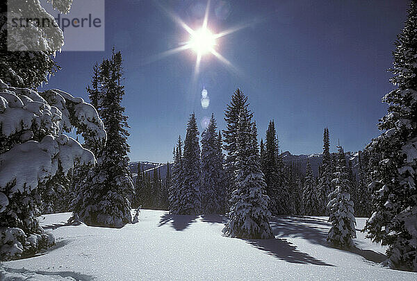 Wasatch-Berge