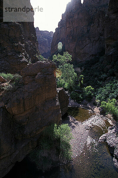 Arizona-Wüste