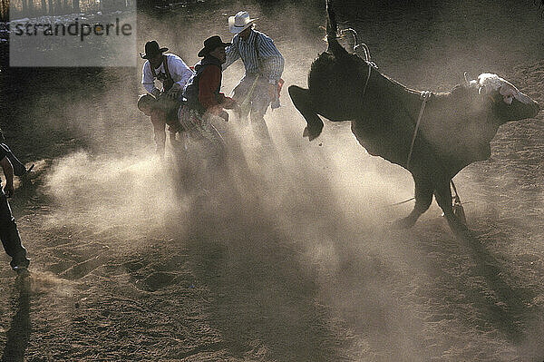 Rodeoschule