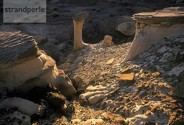 Bisti Badlands