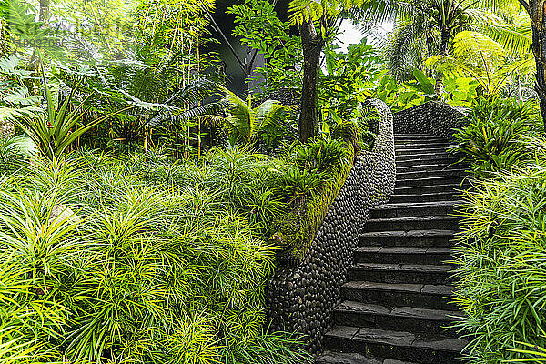Außentreppe im luxuriösen Regenwaldresort auf Bali