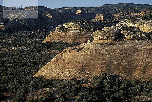 Die Black Ridge Canyon Wilderness in der Nähe von Grand Junction  Colorado