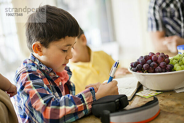 Japanisch-amerikanischer Junge schreibt in seinem Tagebuch an der Küchentheke