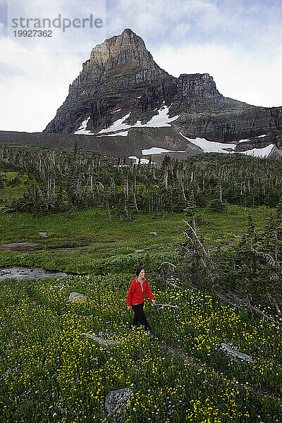 Eine erwachsene Frau wandert auf dem Highline-Trail in der Nähe des Logan Pass  Glacier National Park  Montana  mit dem Clement Mountain in der Ferne