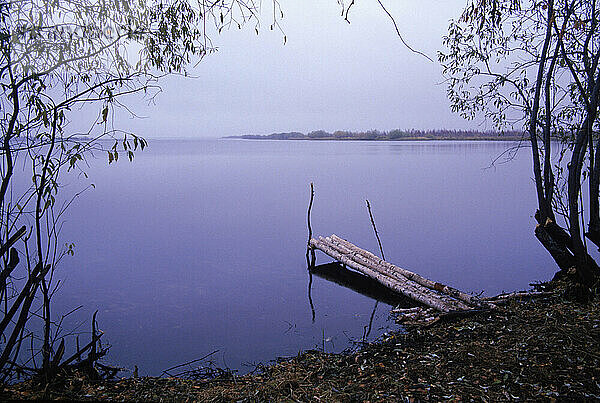 Dock  landschaftlich reizvoll