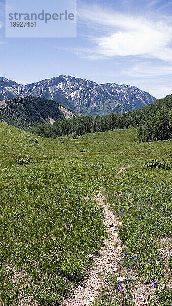 Colorado-Bergpfad in Colorado.