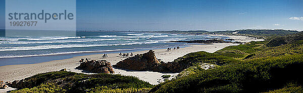 Panoramablick mit Menschen  die am Strand von Post Office Rock  Marrawah  Tasmanien  Australien reiten