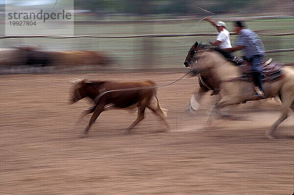 Navajo-Rodeo