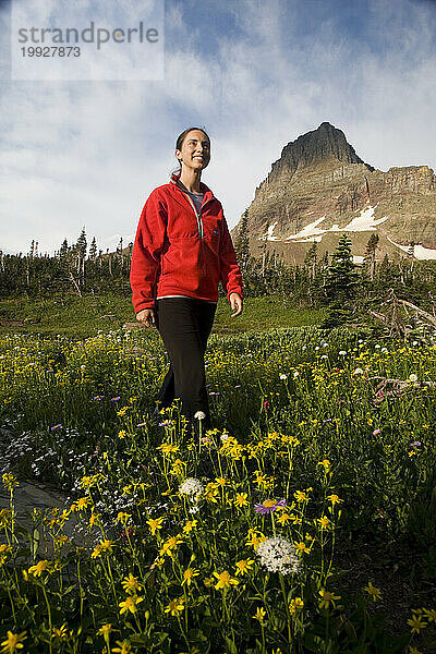 Eine erwachsene Frau wandert auf dem Highline-Trail in der Nähe des Logan Pass  Glacier National Park  Montana  mit dem Clement Mountain in der Ferne