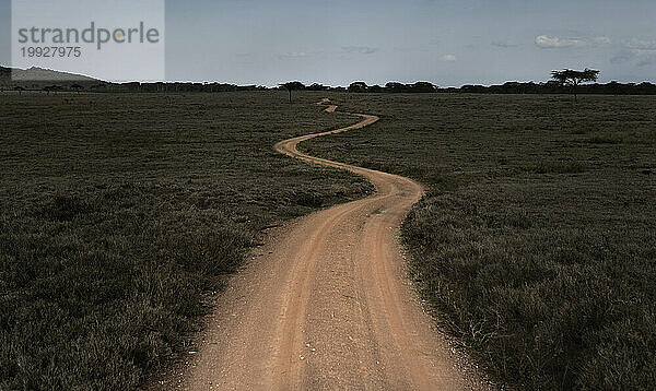 Eine unbefestigte Straßensafari schlängelt sich durch den Busch im Norden Kenias.