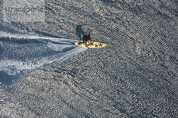 Frau schleppt Surfen auf riesigen Wellen bei Outside Avalanche  an der Nordküste von Oahu  Hawaii.