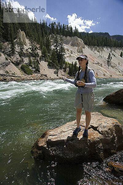 Eine erwachsene Frau beobachtet ihre Leine beim Fliegenfischen auf einem großen Felsen am Seven Mile Hole am Yellowstone River in Yellowstone Nati