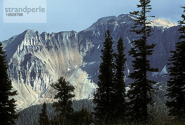 Colorado Rockies