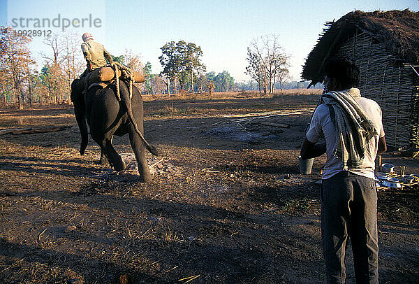 Kanha-Nationalpark  Indien