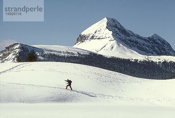 Skilanglauf