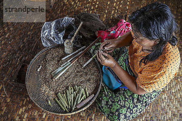 Erwachsene Frau sitzt drinnen und rollt traditionelle Stumpenzigarren  Shan State  Myanmar