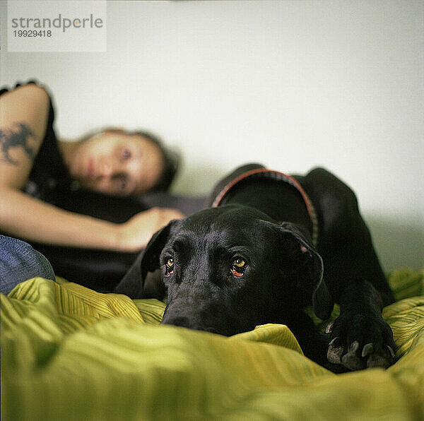 Junge Frau und ihr Hund blicken in die Kamera  während sie auf dem Bett liegen.