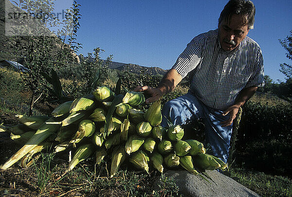 Bio-Gartenbau