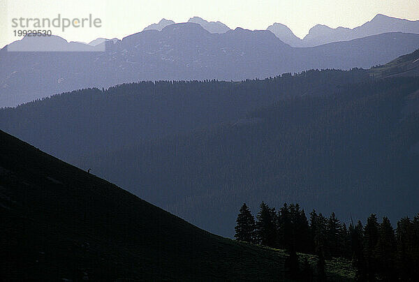 Colorado Rockies