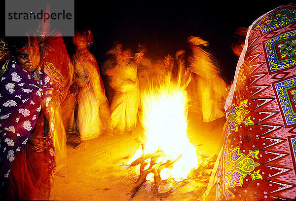 Kanha-Nationalpark  Indien