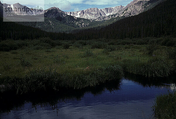 Colorado Rockies