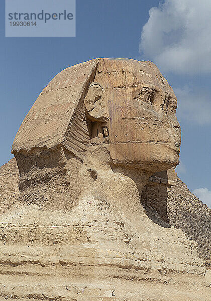 Zoom des Kopfes der Sphinx von Gyza  Ägypten