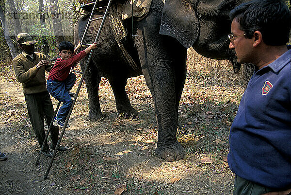 Kanha-Nationalpark  Indien