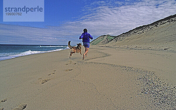 Junge Frau und deutscher Schäferhund laufen am Strand in Cape Cod National Seashore  Massachusetts.