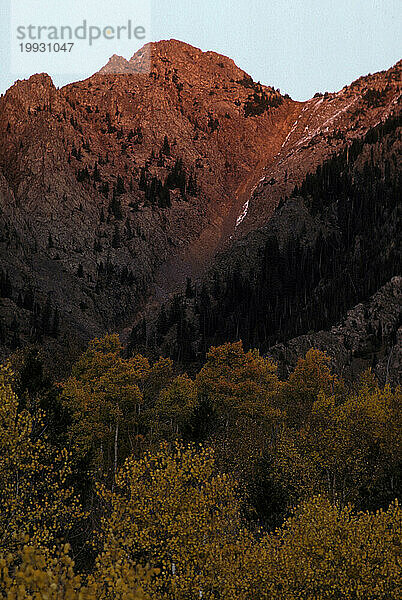 Colorado Rockies