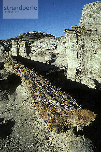 Bisti Badlands