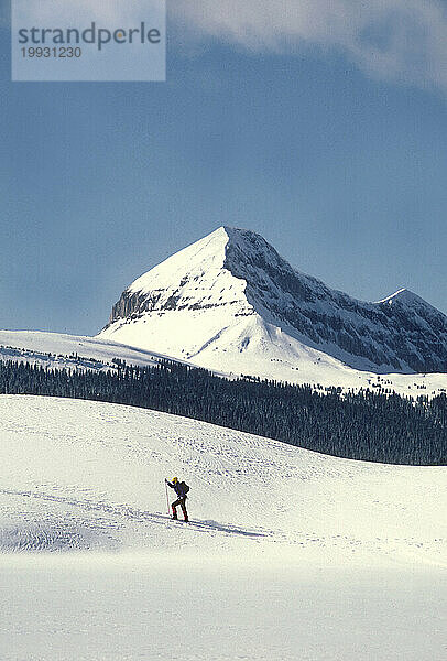 Skilanglauf