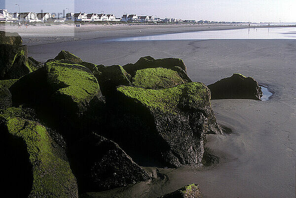 New Jersey Shore