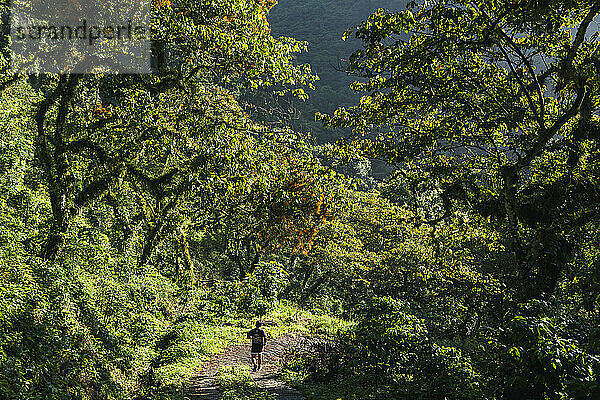 Ein Mann läuft auf einem Pfad in einem Regenwald