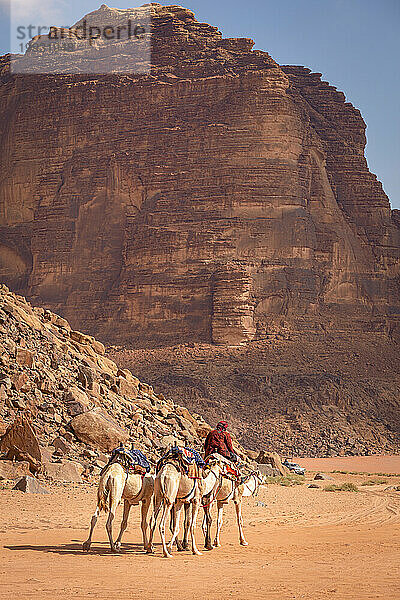 Mensch und Kamele in der Wüste Wadi Rum  Jordanien