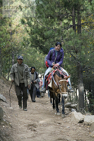 Eine Frau zu Pferd in der Provinz Yunnan  China.