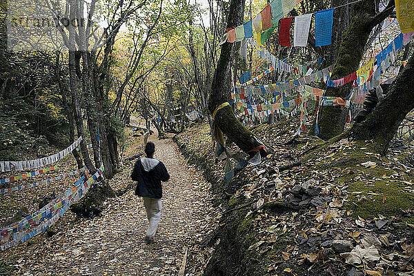 Eine Frau geht auf einem Wanderweg in der Provinz Yunnan  China.