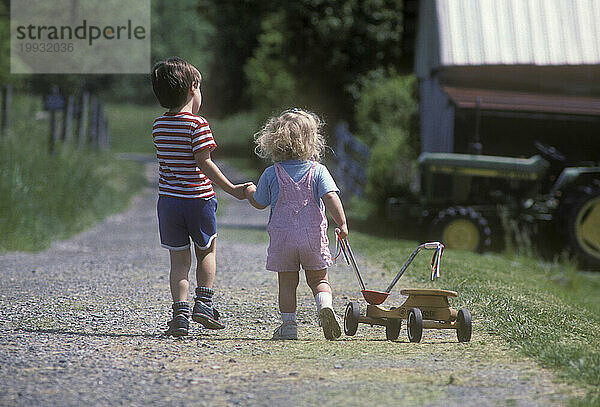 Kleine Kinder gehen auf einer Farm  Maryland  USA.